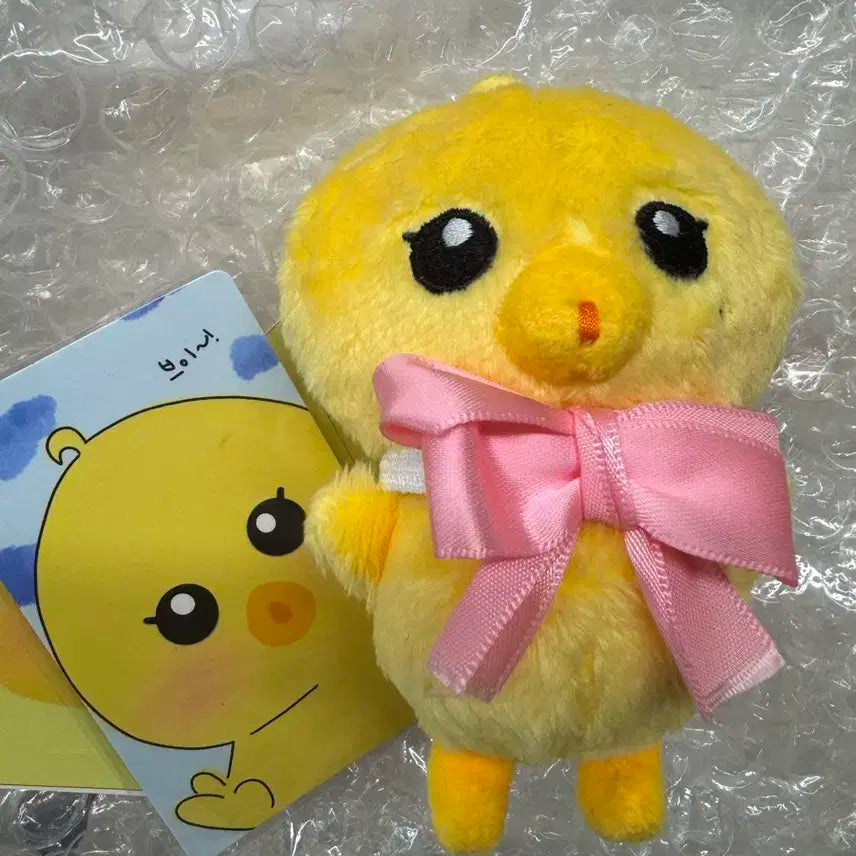 Nct 정우 인형 댕궁이