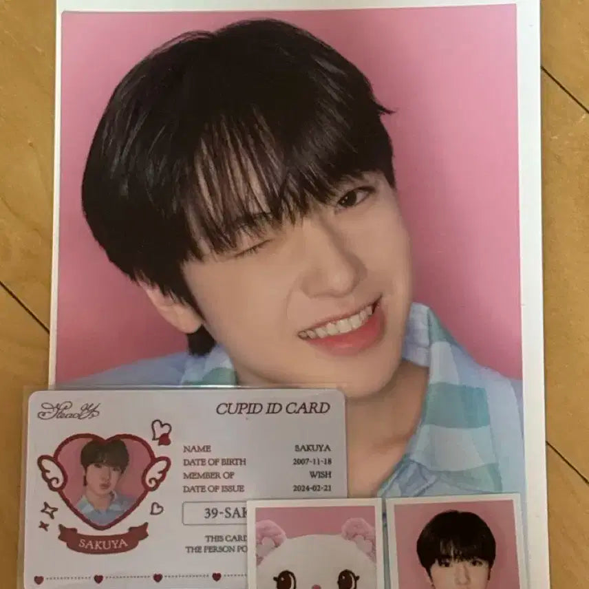 엔시티 위시 스테디 증사 사쿠야