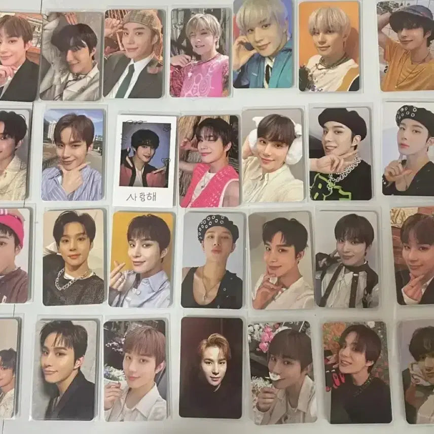 엔시티 정우 포카 일괄