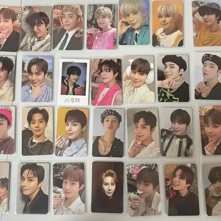 엔시티 정우 포카 일괄