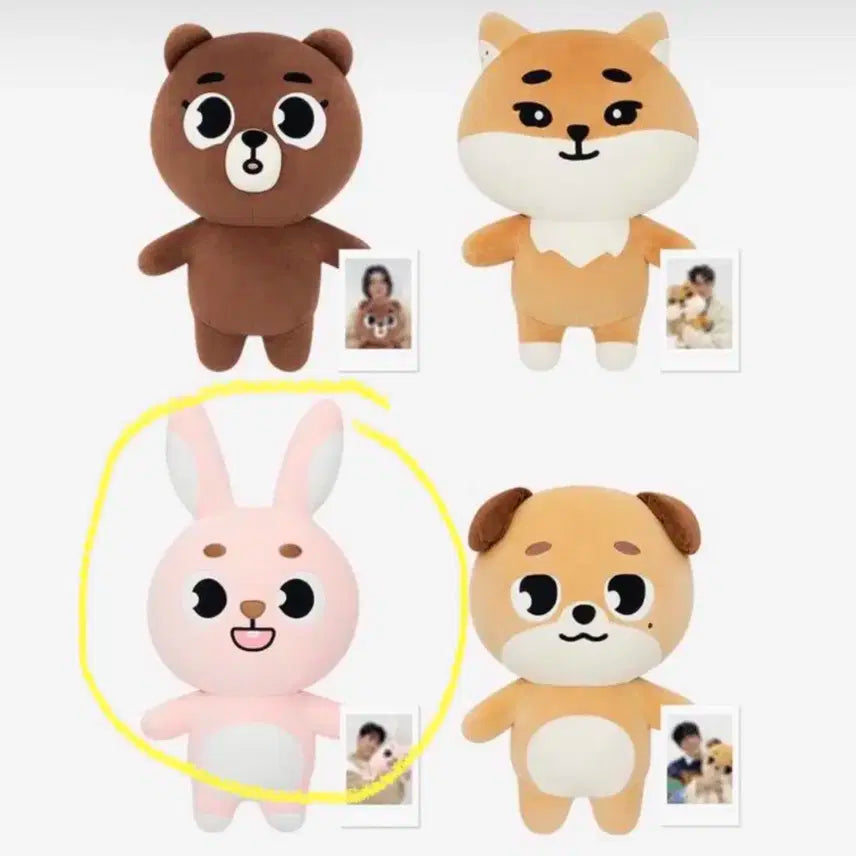 (새상품)자이언트 데니멀즈 자멀 필끼 양도 데이식스