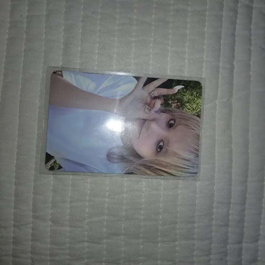 엔믹스 릴리 포카