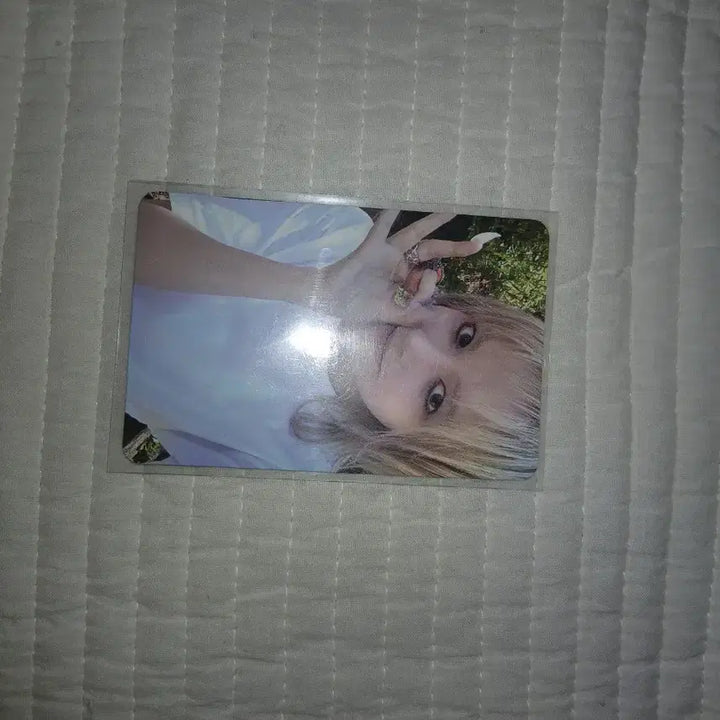 엔믹스 릴리 포카