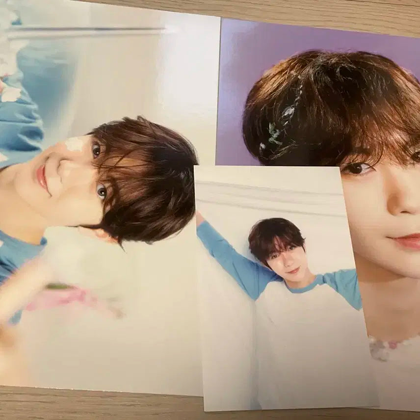 엔위시 시그 료