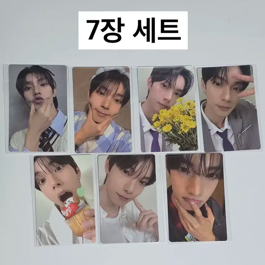 보이즈플래닛2 보플2 전시회 2주차 [최립우 셀포 포카 7장 세트] 양도
