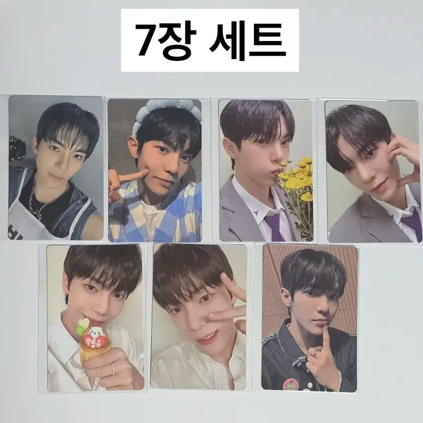 보이즈플래닛2 보플2 전시회 2주차 [박동규 셀포 포카 7장 세트] 양도