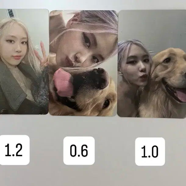 로제포카