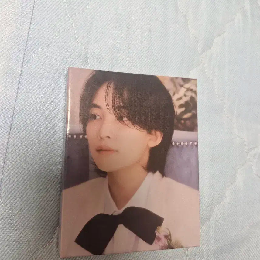 세븐틴 FML 캐럿반 정한