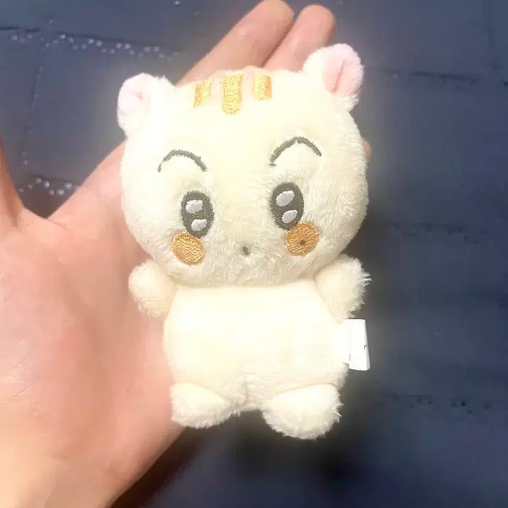 Nct 마크 인형 마쿵이 팝니다!!