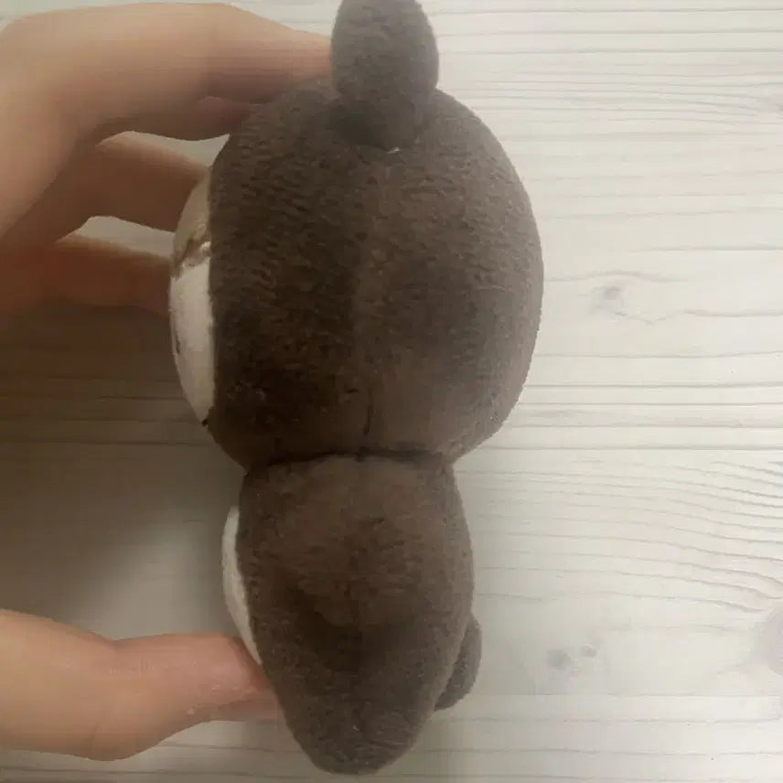 Nct 해찬 인형 곰효기 팝니다!