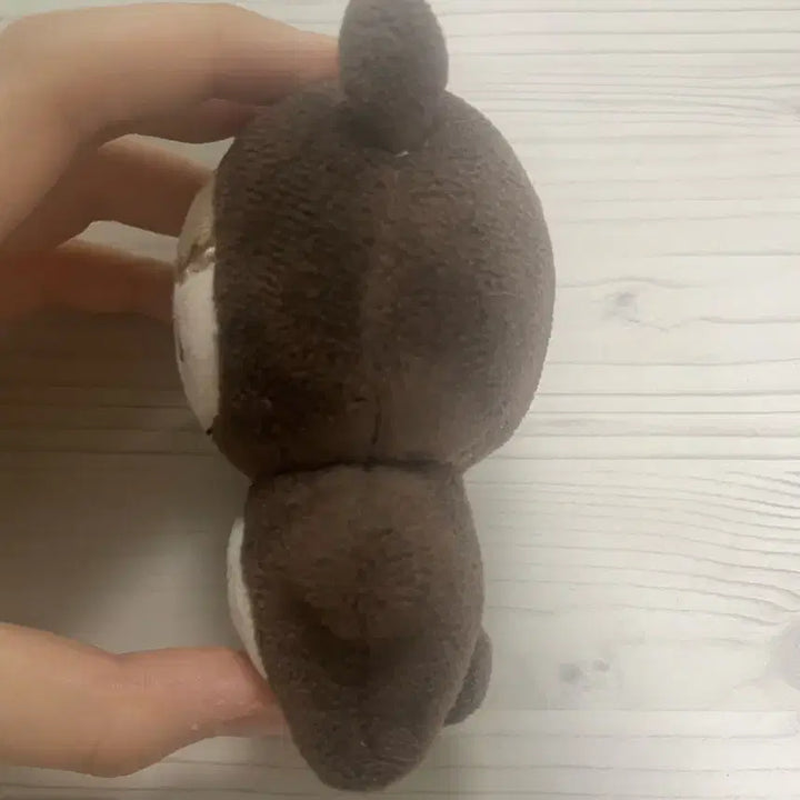 Nct 해찬 인형 곰효기 팝니다!