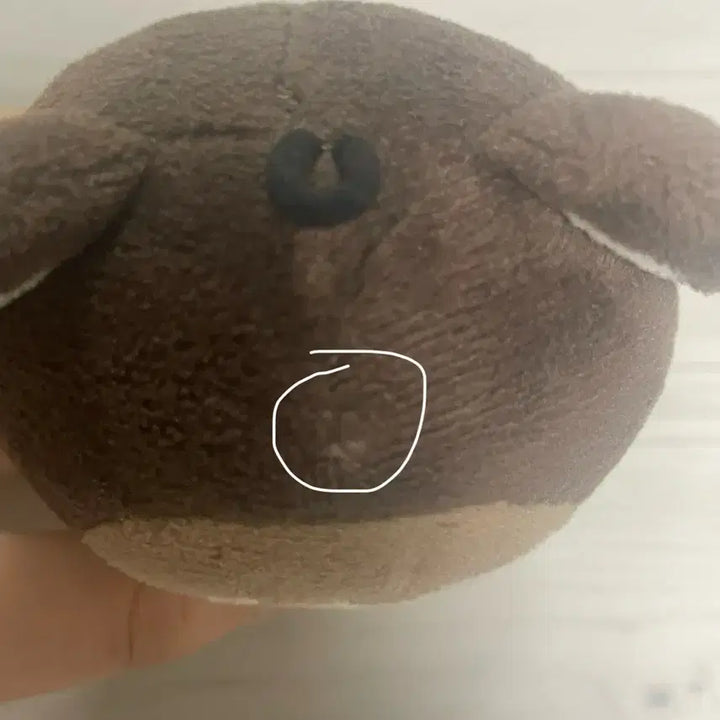 Nct 해찬 인형 곰효기 팝니다!