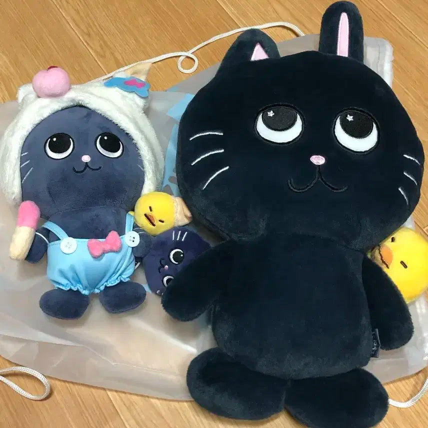 라이즈 원빈 40cm, 20cm 토냥덕 일괄 판매