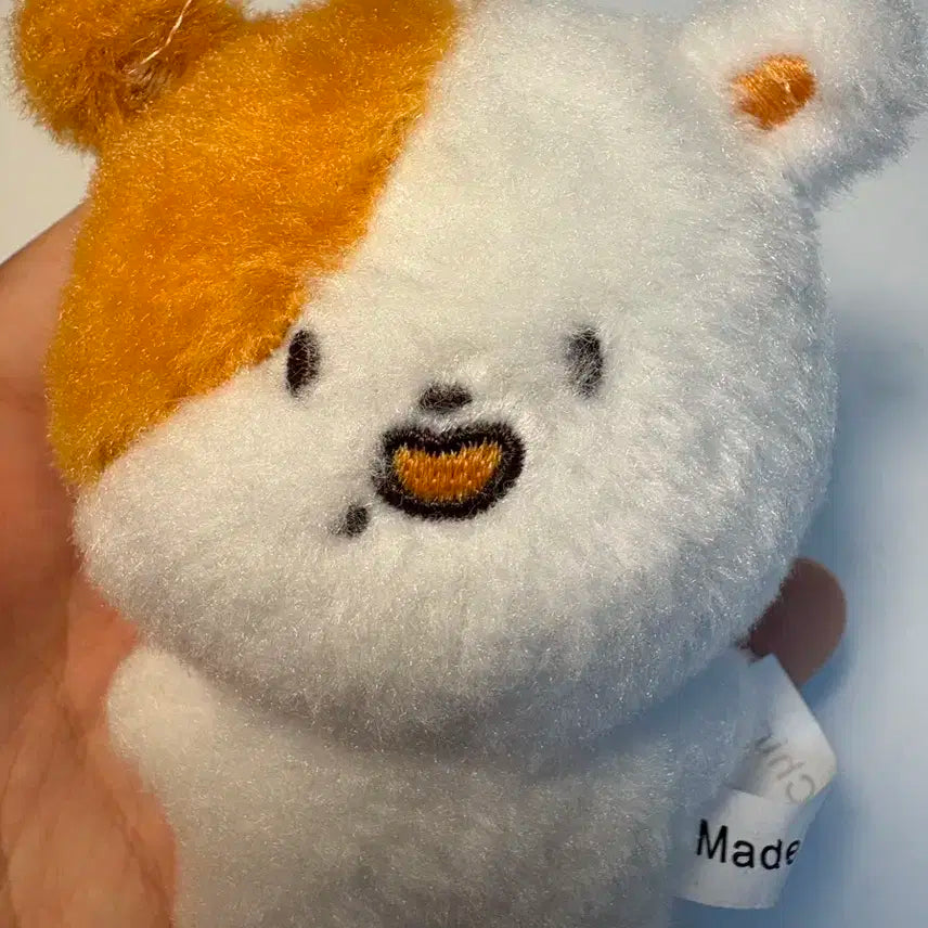 지성 포켓찌