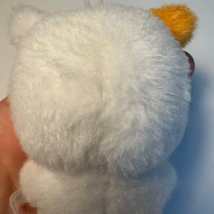 지성 포켓찌