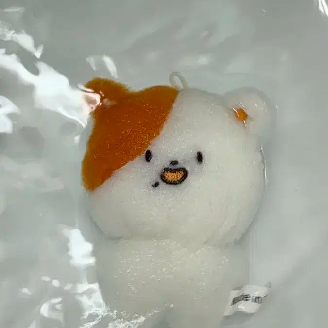 지성 포켓찌