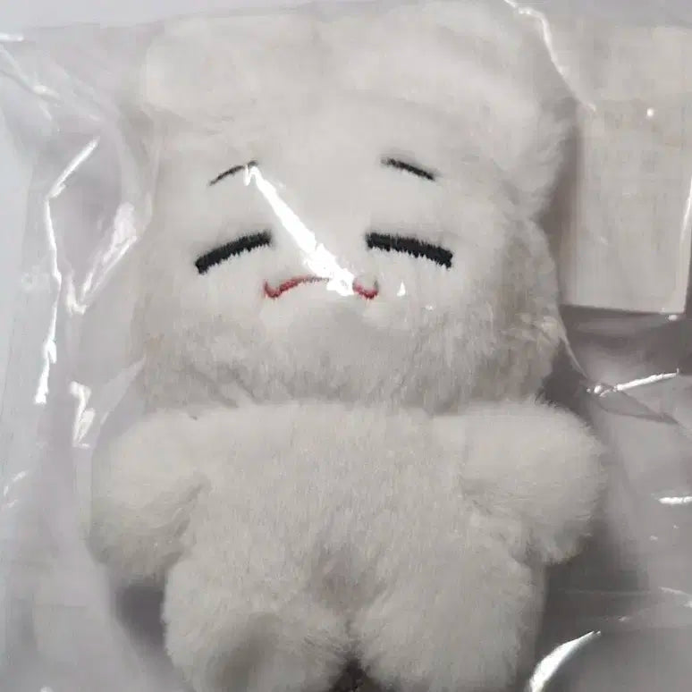 조슈아 인형 양도 하찮슈