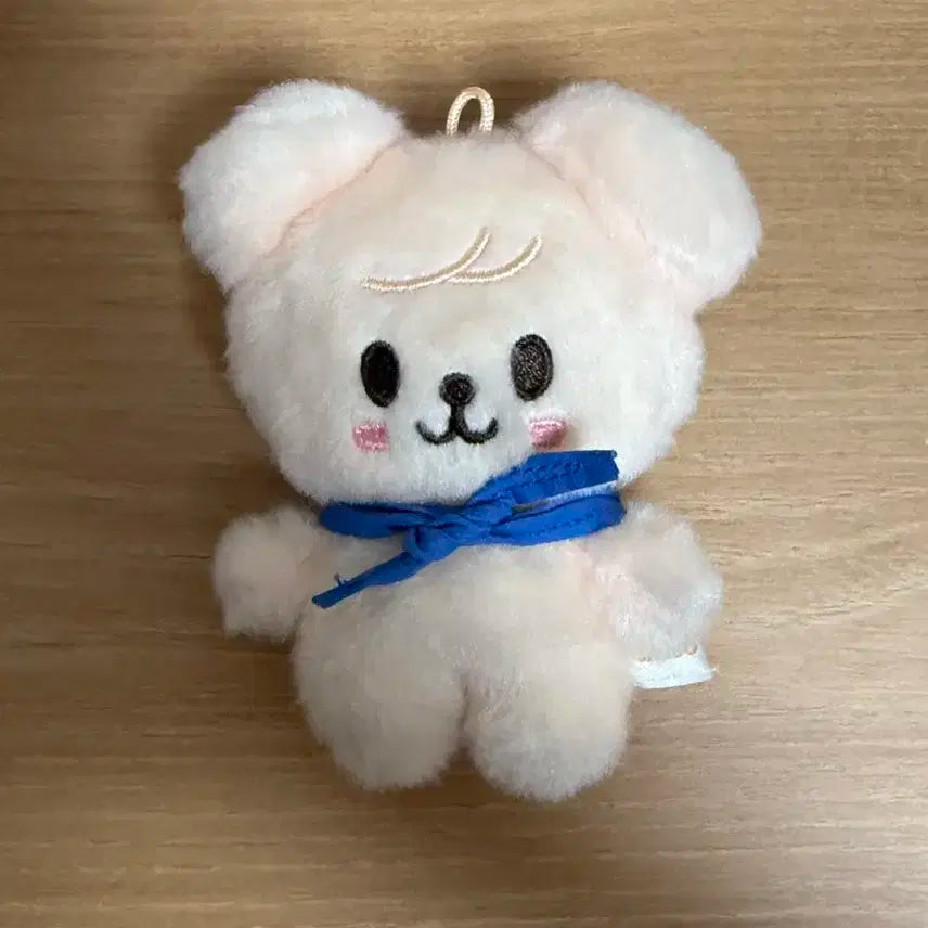 스키주 퍼핌 파일럿 콩키주