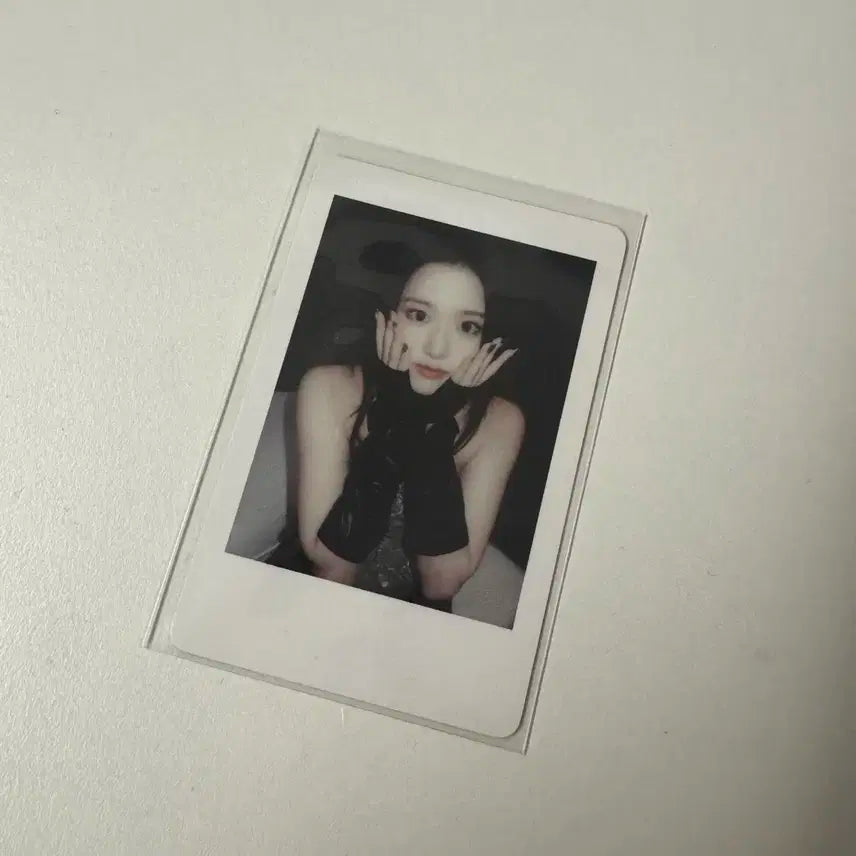 아이브 엠파시 위드뮤 유진 폴라 포카