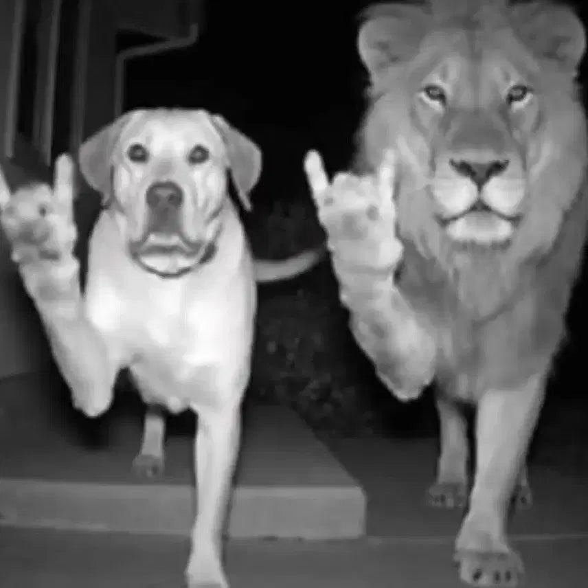 NCT 해찬 핑크 크리스마스 포카