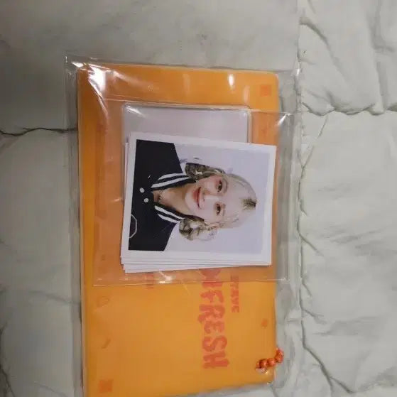 스테이씨 1st 콘서트 md id 포토 홀더 세트 stayc