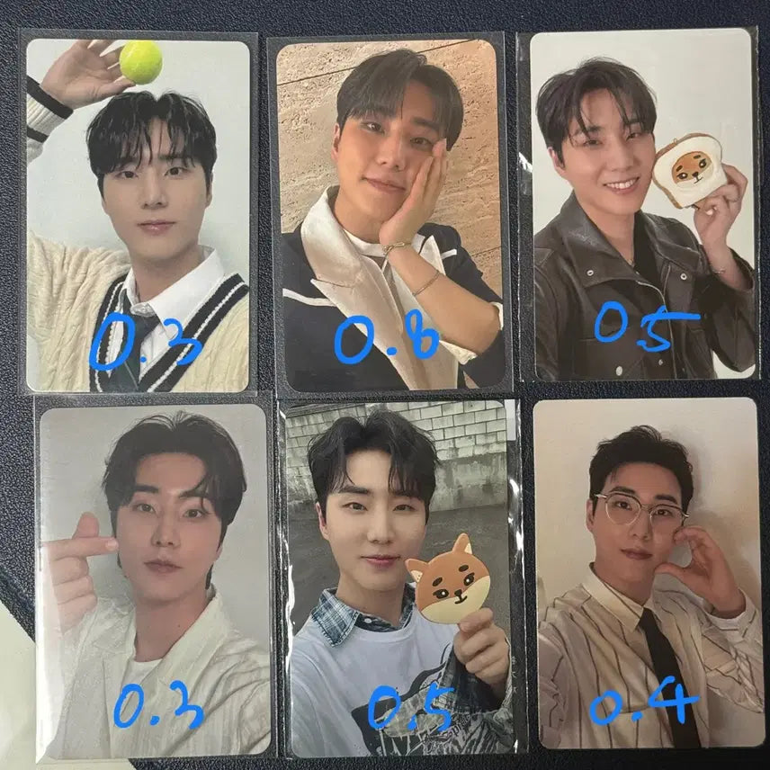(전멤버) 데이식스 포카 포토카드 방케필돈 성진 영케이 원필 도운