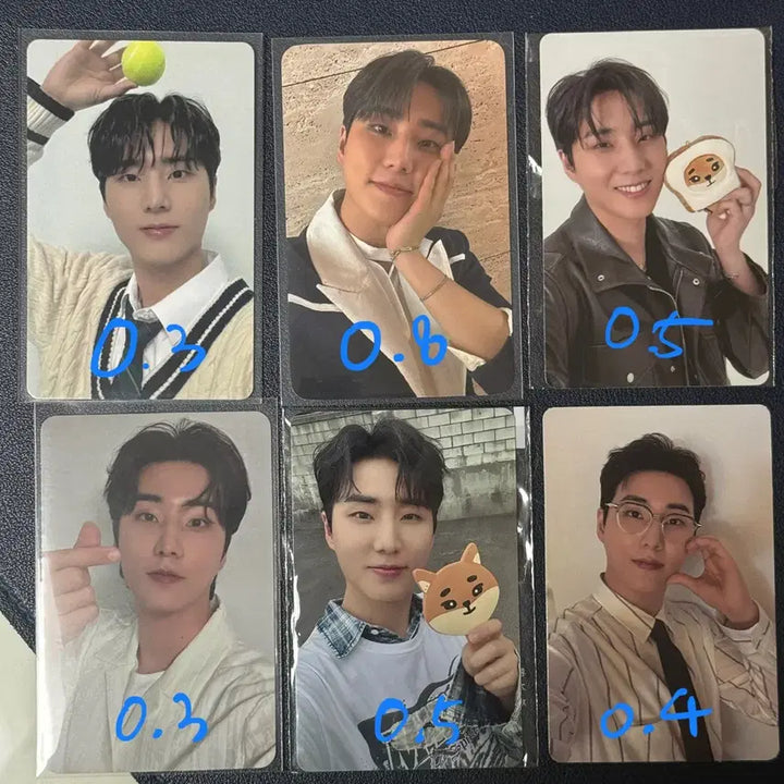 (전멤버) 데이식스 포카 포토카드 방케필돈 성진 영케이 원필 도운