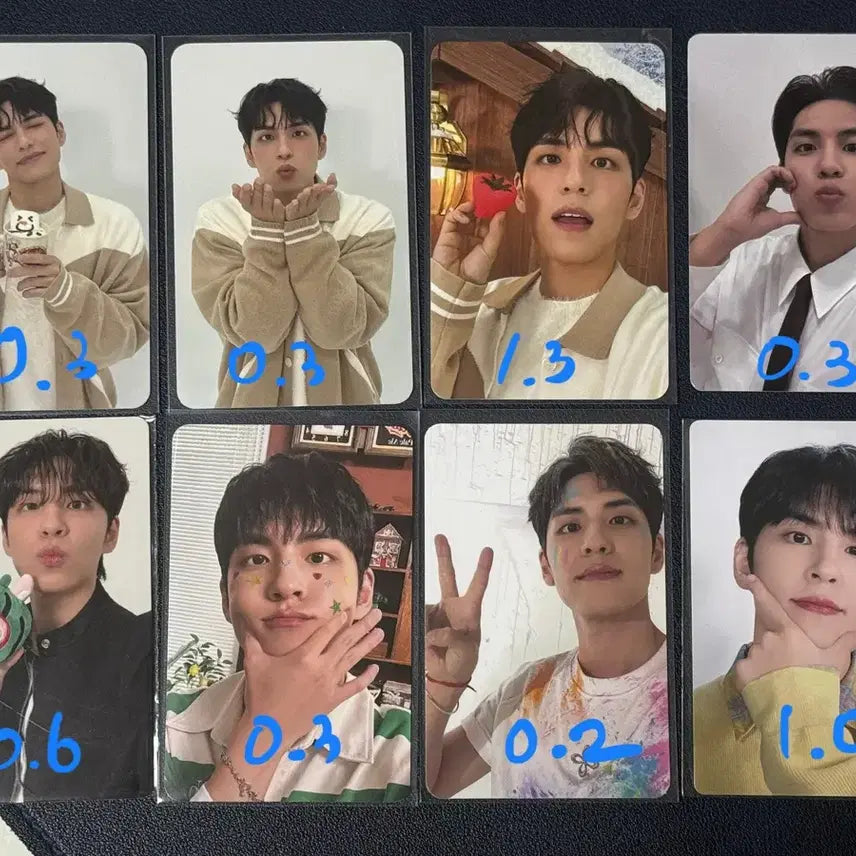 (전멤버) 데이식스 포카 포토카드 방케필돈 성진 영케이 원필 도운