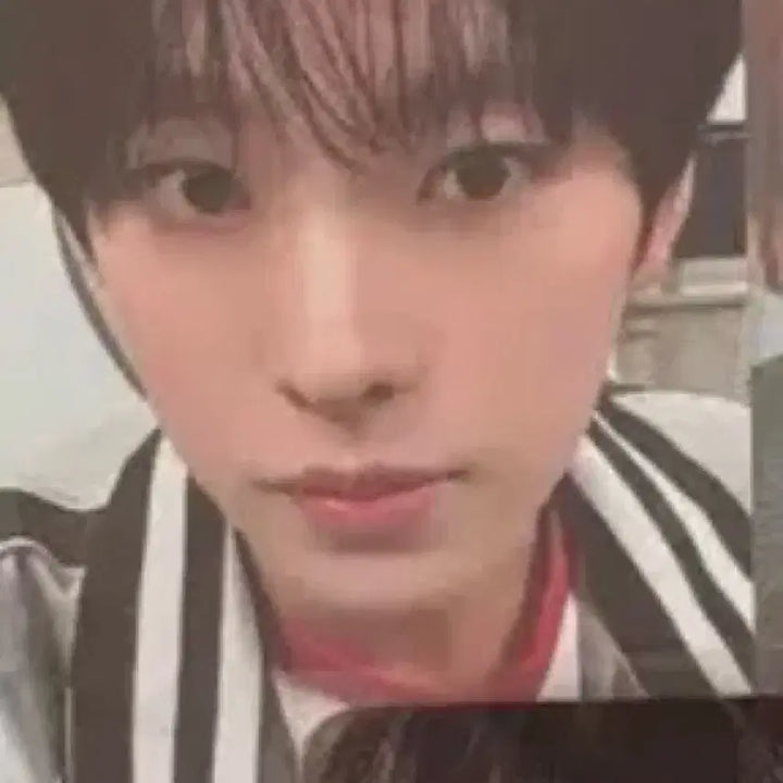 엔시티위시 위츄 미개봉 유우시 전시회 포카