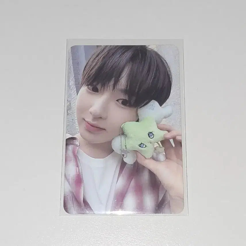 위츄 사쿠야포카 양도