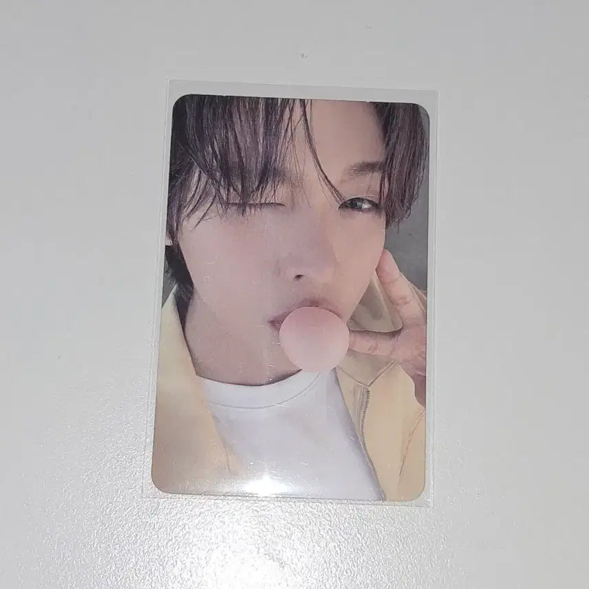 팝츄 리쿠포카 양도