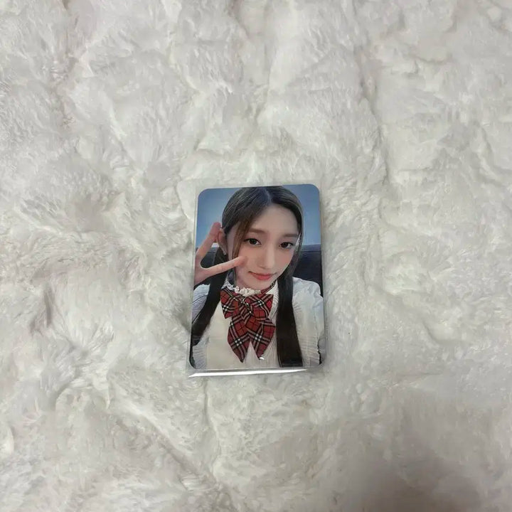 앺라 모켓샵 이서 판매