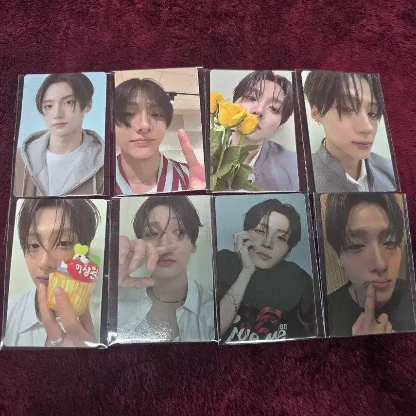 보플 전시회 2주차 이상원 8장