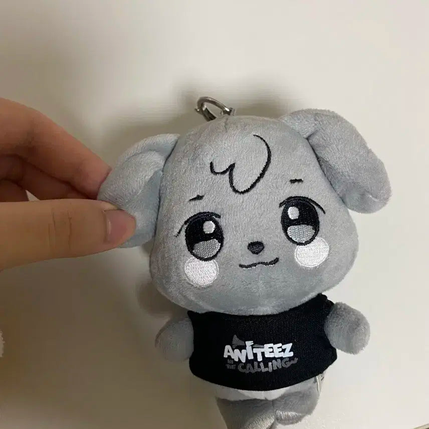 애니티즈 키링 인형 튜덩이 윤호 원가양도 포카포함
