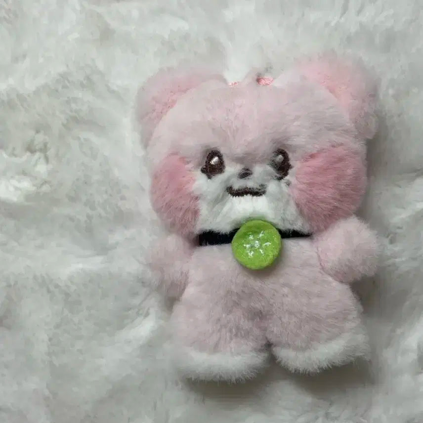 이서 랑니니 인형 판매