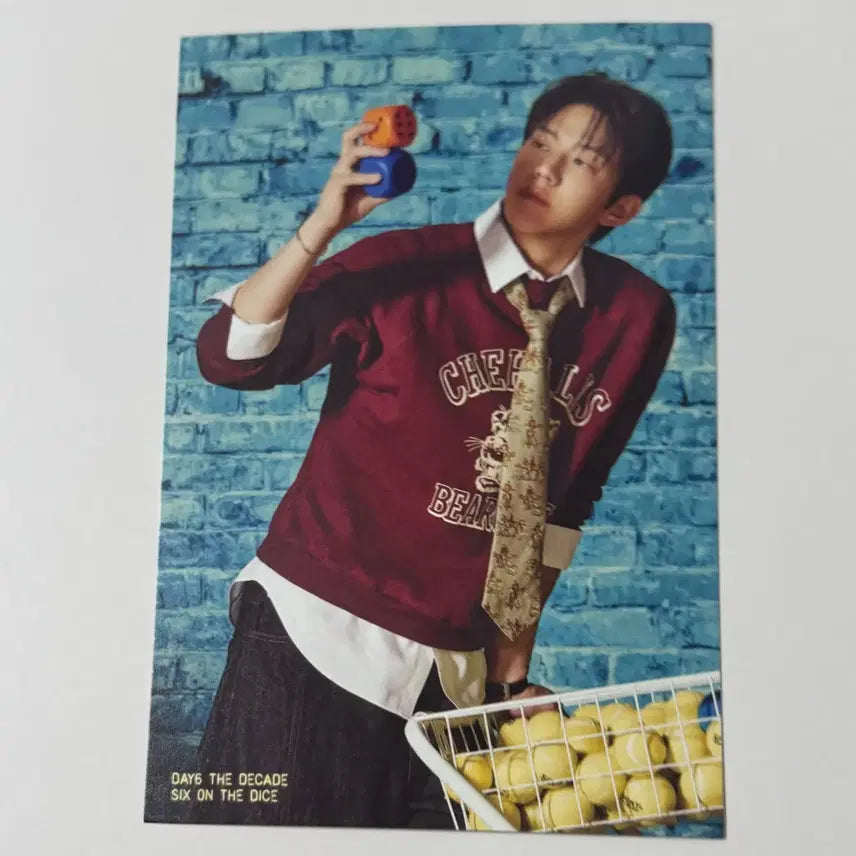 데이식스 데케이드 도운 판매
