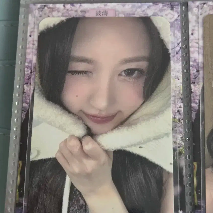 아이브 가을 포카 사웨