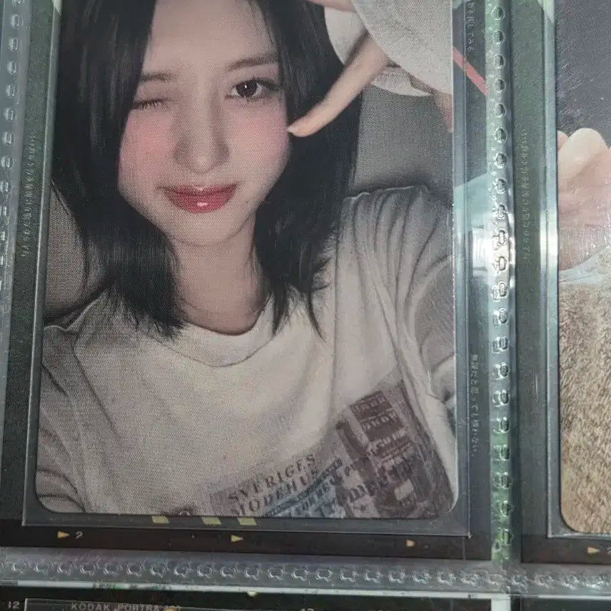아이브 가을 포카 사웨