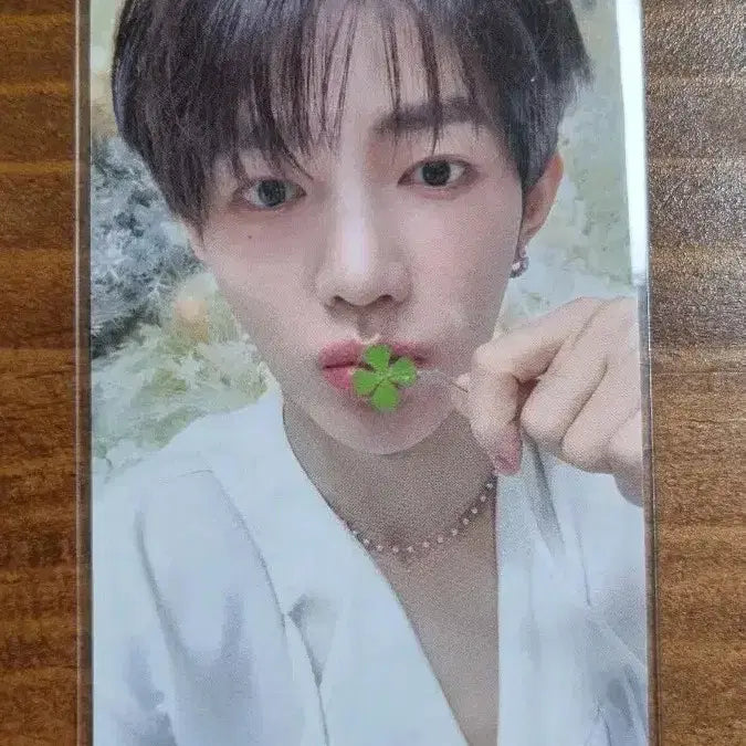 제베원 장하오 미공포 스타리버 네잎클로버 포카 양도