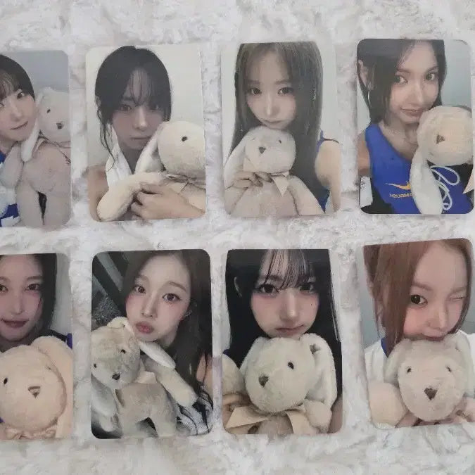 세이마이네임 어레이즈 대면 미공포