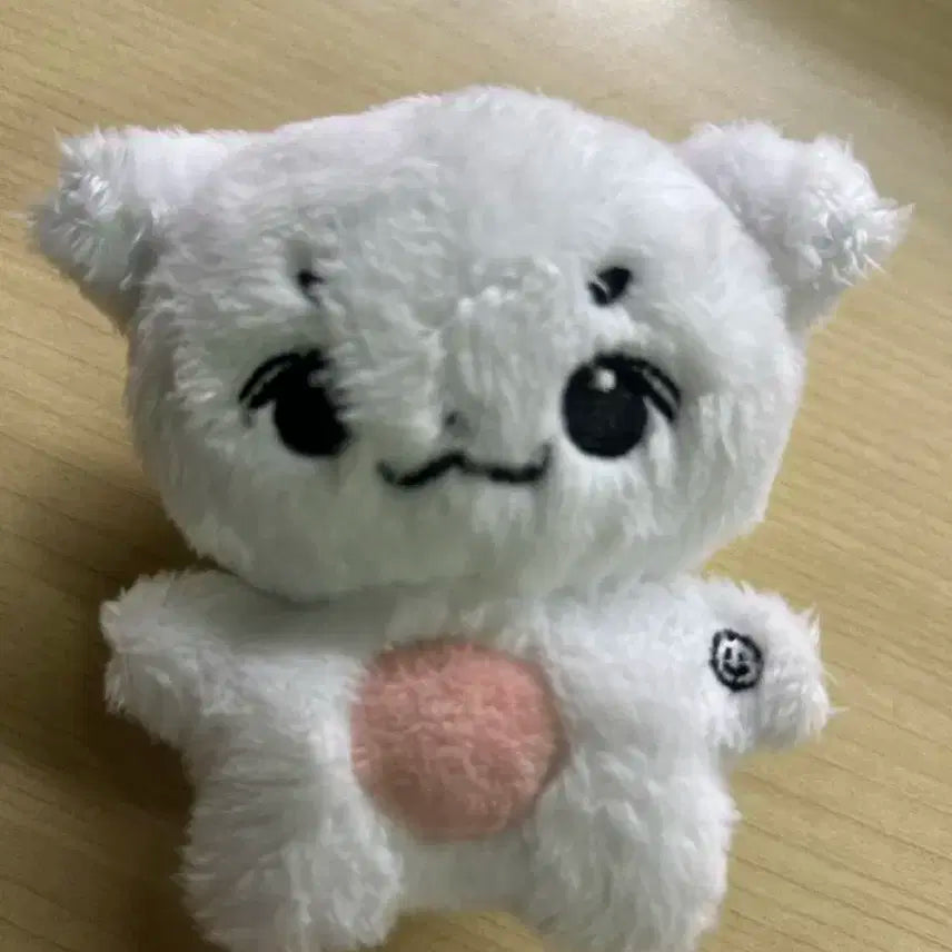 루시 신예찬 차니쮸 인형