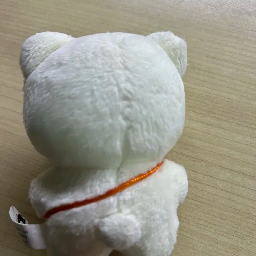 루시 신광일 곰팡이 인형
