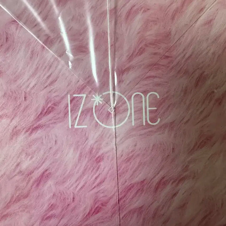 아이즈원 박스판 일본 앨범 뱀파이어 미개봉 판매합니다!