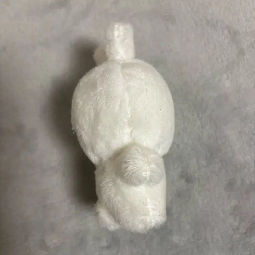 진짜 급처)BTS 방탄소년단 정국 전정국 인형 토꾸 양도 판매