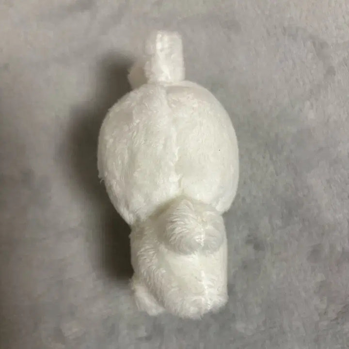 진짜 급처)BTS 방탄소년단 정국 전정국 인형 토꾸 양도 판매