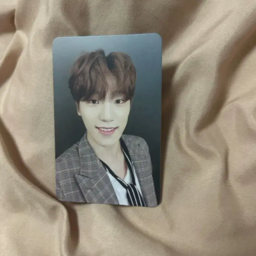 세븐틴 디노
