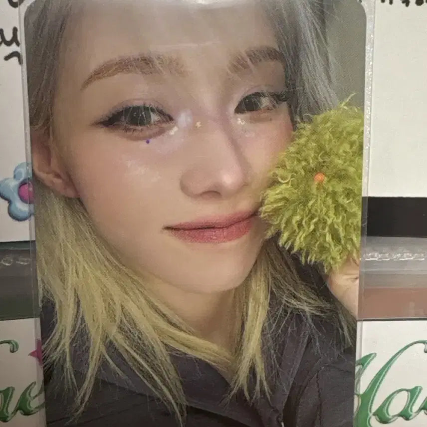 윈터 포카