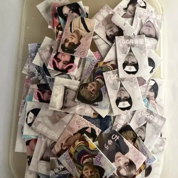 라이즈 오사키쇼타로 일괄 양도 판매/원빈성찬소희앤톤찬영은석