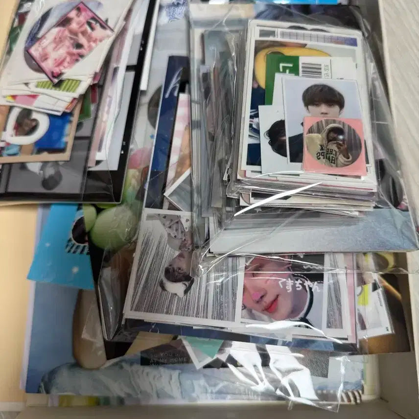 더보이즈 비공굿 일괄