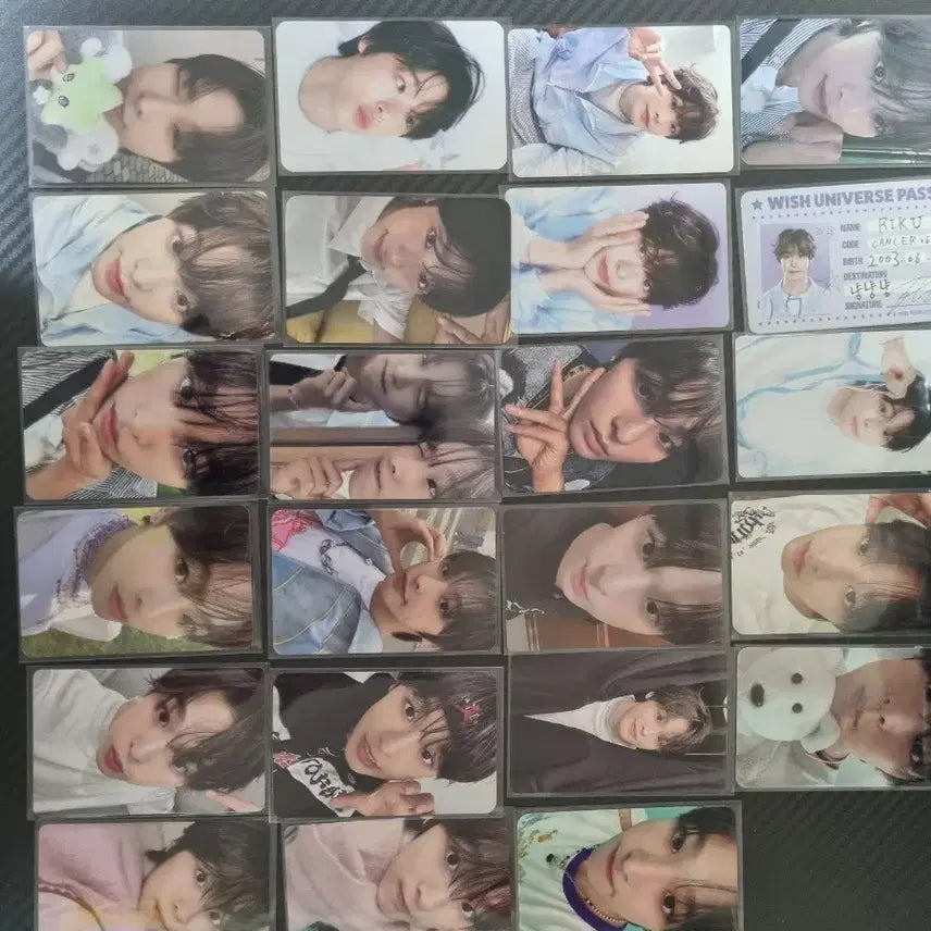 엔시티위시 리쿠 포카 일괄 양도